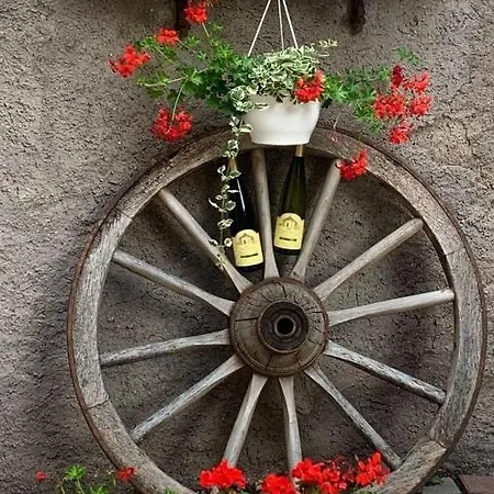 Maison Avec Terrasse Centre-cottage Garden Terrace Center Old Town Vakantiehuis Colmar