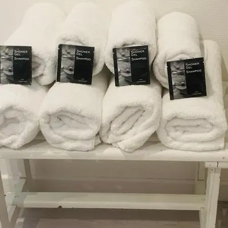 Maison Avec Terrasse Centre-cottage Garden Terrace Center Old Town Casa vacanze