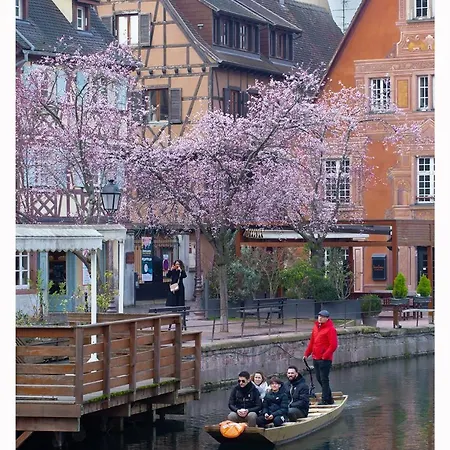 Maison Avec Terrasse Centre-cottage Garden Terrace Center Old Town *