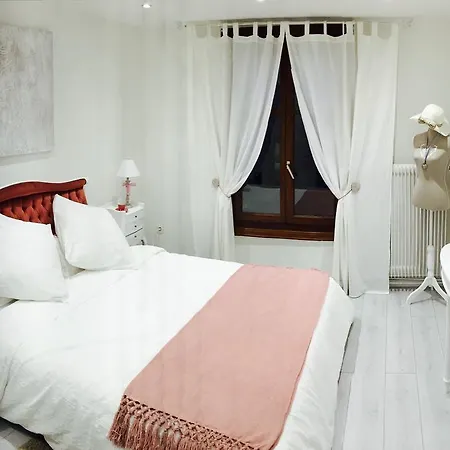 Maison Avec Terrasse Centre-cottage Garden Terrace Center Old Town Colmar