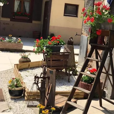 Maison Avec Terrasse Centre-cottage Garden Terrace Center Old Town コルマール