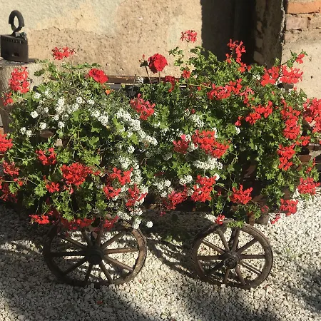 Vakantiehuis Maison Avec Terrasse Centre-cottage Garden Terrace Center Old Town