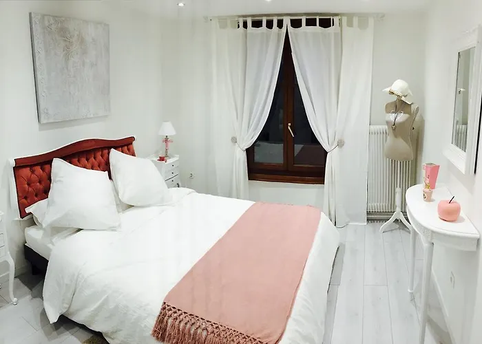 Maison Avec Terrasse Centre-cottage Garden Terrace Center Old Town Colmar