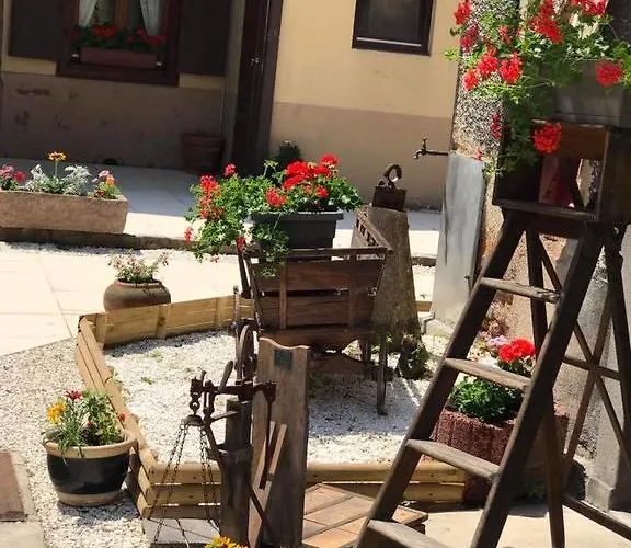 Maison Avec Terrasse Centre-cottage Garden Terrace Center Old Town Colmar