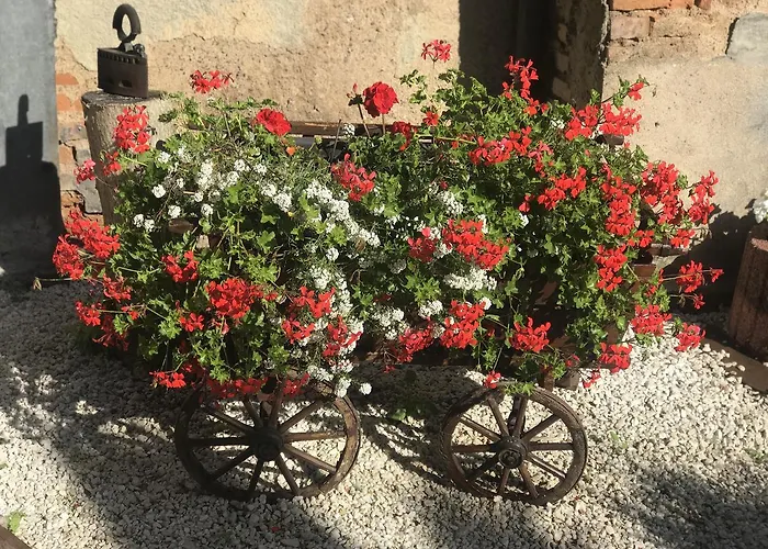 Casa de Férias Maison Avec Terrasse Centre-cottage Garden Terrace Center Old Town